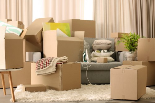 Visual showing website analytics and visitor activity tracking for Removals Bow